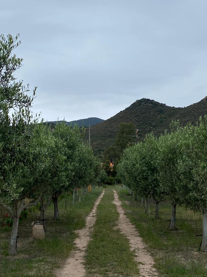 L'Uliveto Holiday House Muravera Esterno foto