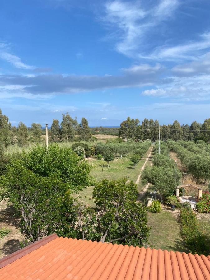 L'Uliveto Holiday House Muravera Esterno foto