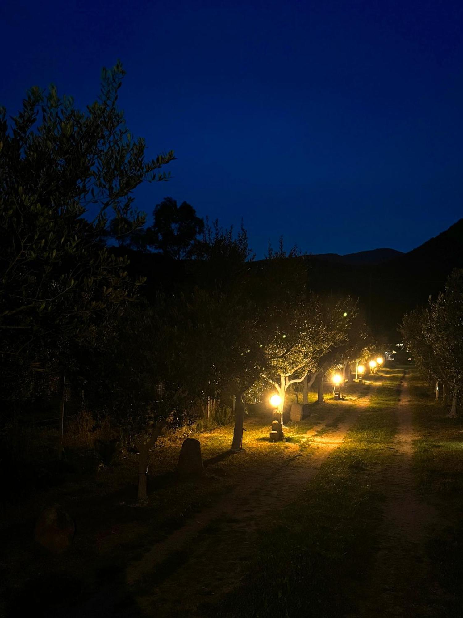 L'Uliveto Holiday House Muravera Esterno foto