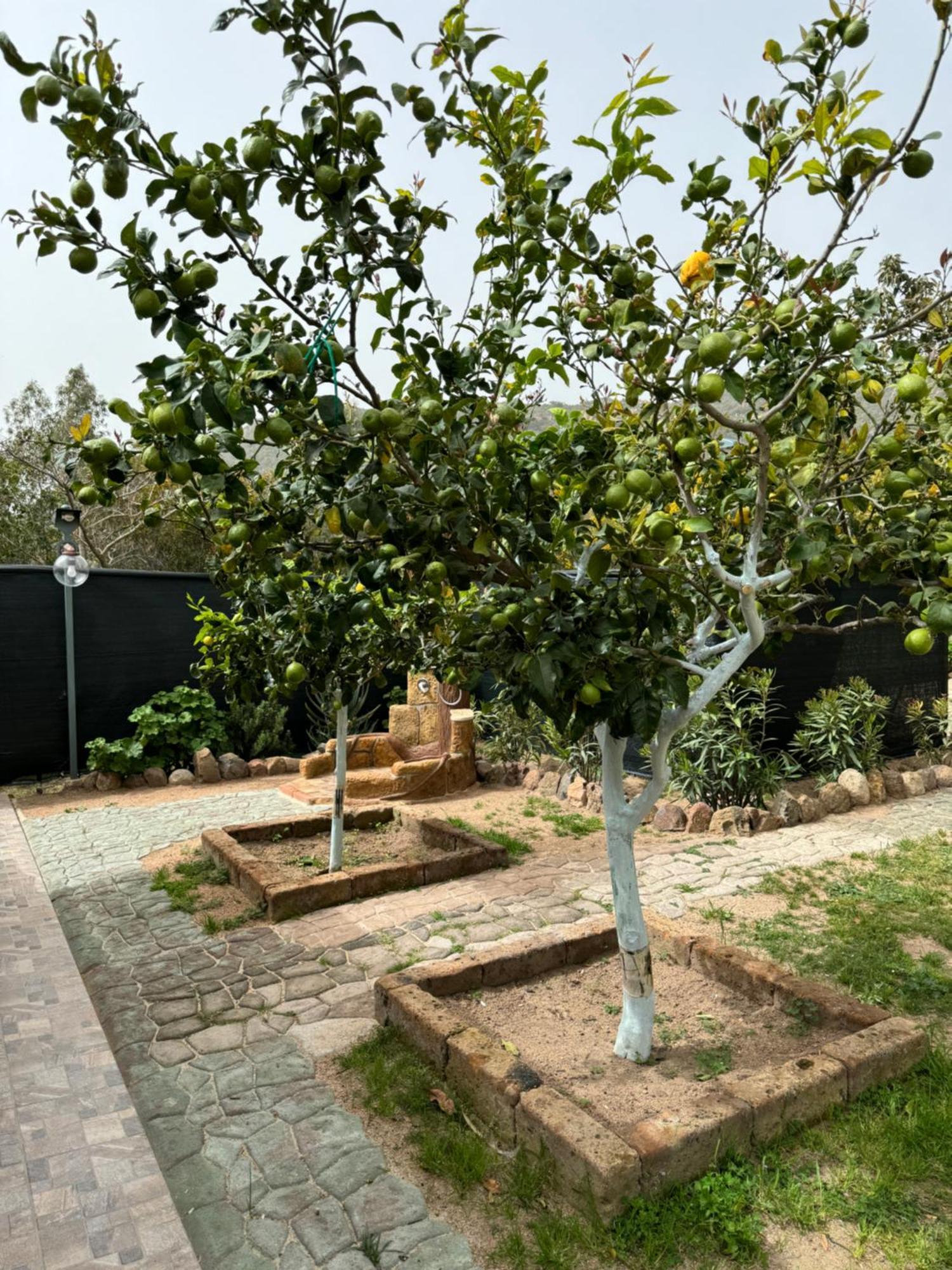 L'Uliveto Holiday House Muravera Esterno foto